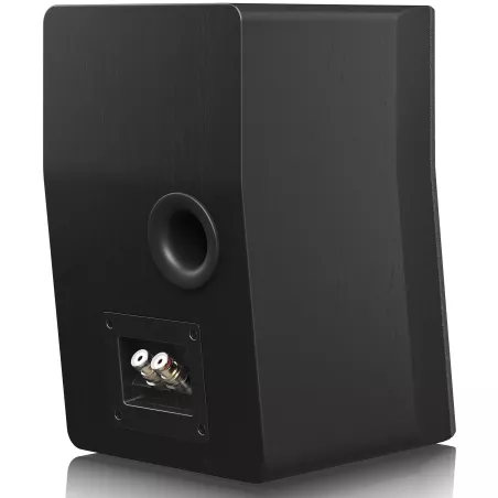Enceinte compact SVS ULTRA EVOLUTION NANO