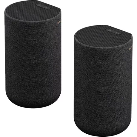Paire d'enceintes sans fil SONY SA-RS5S