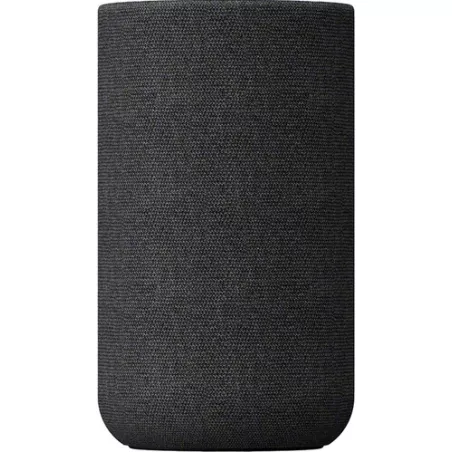 Paire d'enceintes sans fil SONY SA-RS5S
