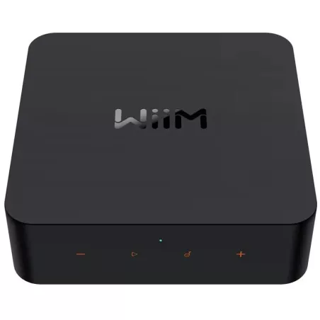 Streamer Chromecast WiiM Pro +