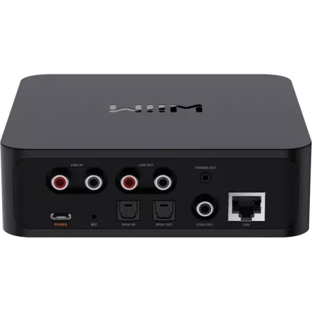 Streamer WiiM Pro