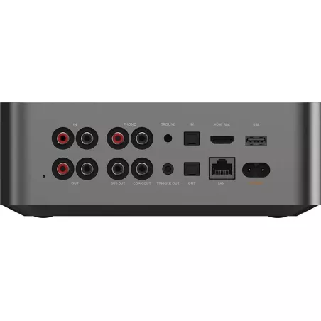 Lecteur réseau Airplay 2 WiiM ULTRA