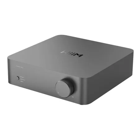 Ampli hi-fi WiiM VibeLink Amp