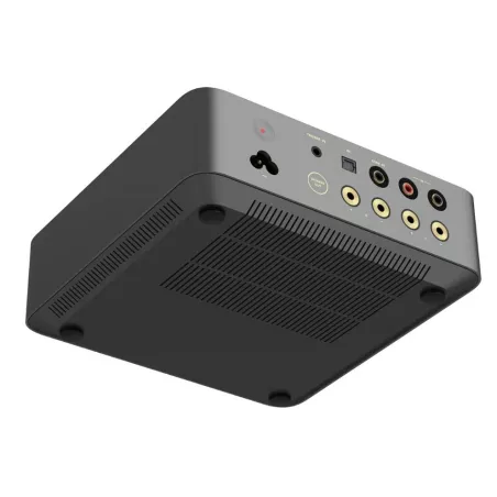 WiiM VibeLink Amp