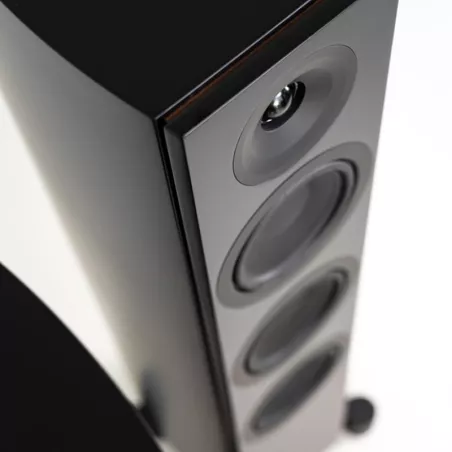 Enceinte stéréo LEGEND SILVERBACK