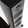 Enceinte stéréo LEGEND SILVERBACK