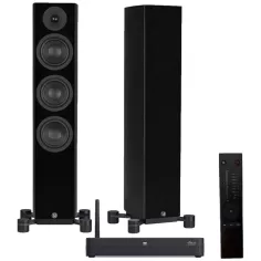 Enceinte sans fil LEGEND 40.2 DS Silverback