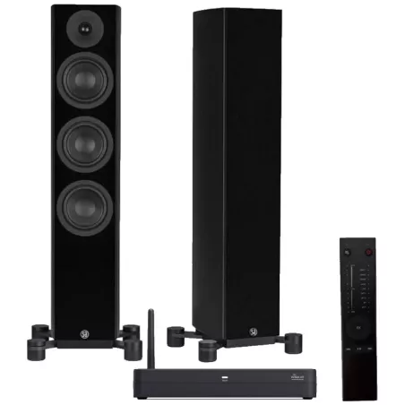 Enceinte sans fil LEGEND 40.2 DS Silverback