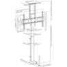 Support TV motorise Cavus CTLIFT64L