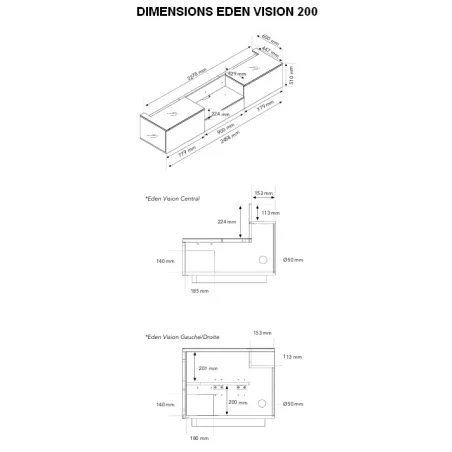 EDEN VISION