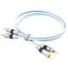 Supra Dual 2RCA-2RCA Audio caractéristiques