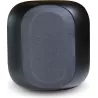 Bluesound PULSE SUB SW 200 Avis