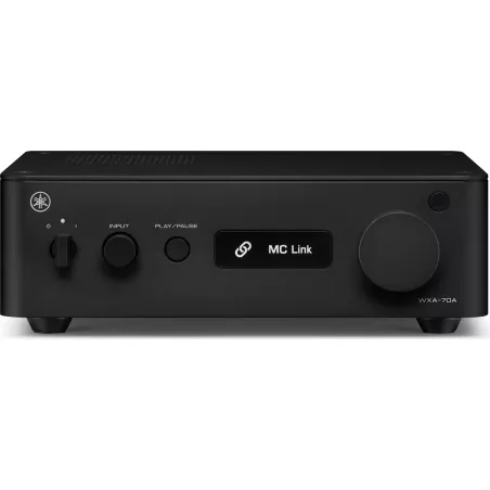 AirPlay 2 Chromecast WXA-70A
