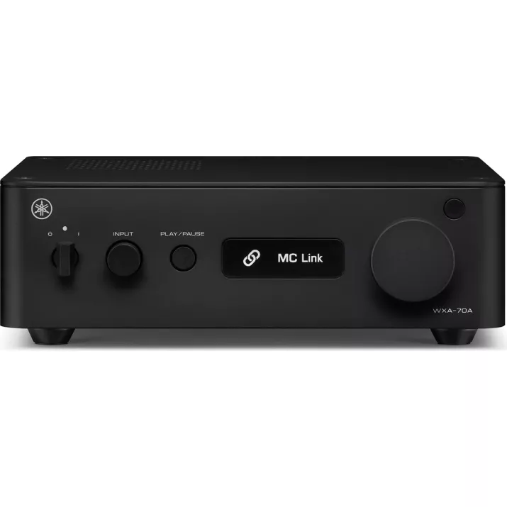 AirPlay 2 Chromecast WXA-70A