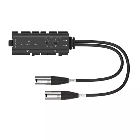 ADAPTATEUR DANTE VERS ANALOGUE