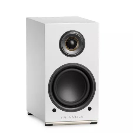 Enceintes Wifi Triangle AIO TWIN