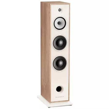 Paire d'enceinte colonne TRIANGLE BOREA BR10