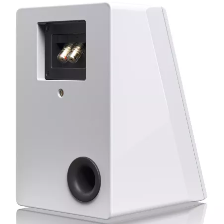 Enceintes Auro 3D SVS Ultra Elevation
