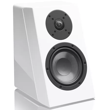 Enceintes surround SVS Ultra Elevation