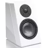 Enceintes surround SVS Ultra Elevation