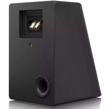 Enceintes Auro 3D SVS Ultra Elevation