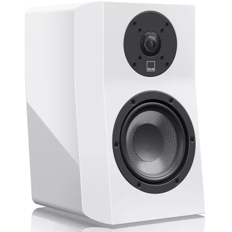 Enceinte surround SVS ULTRA EVOLUTION NANO