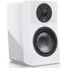Enceinte surround SVS ULTRA EVOLUTION NANO