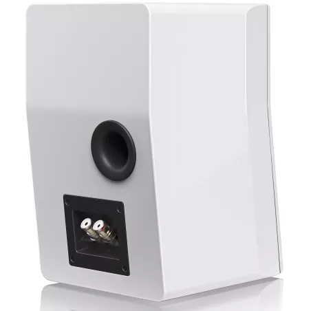 Enceinte compact SVS ULTRA EVOLUTION NANO