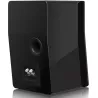 Enceinte compact SVS ULTRA EVOLUTION NANO