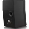 Enceinte compact SVS ULTRA EVOLUTION NANO