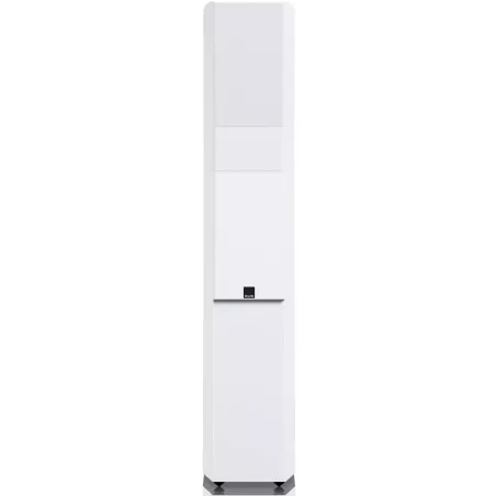Enceintes SVS ULTRA EVOLUTION TOWER