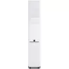 Enceintes SVS ULTRA EVOLUTION TOWER