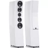 Paire d'enceintes colonne SVS ULTRA EVOLUTION TOWER