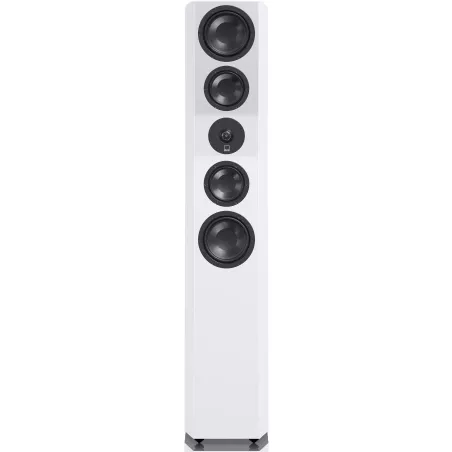 Enceintes SVS ULTRA EVOLUTION TOWER