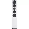 Enceintes SVS ULTRA EVOLUTION TOWER
