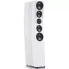 Enceintes haute fidélité SVS ULTRA EVOLUTION TOWER