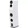 Enceintes SVS ULTRA EVOLUTION TOWER