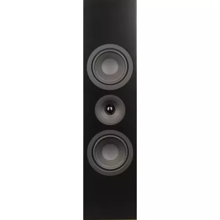Enceinte murale System Audio SIGNATURE 10