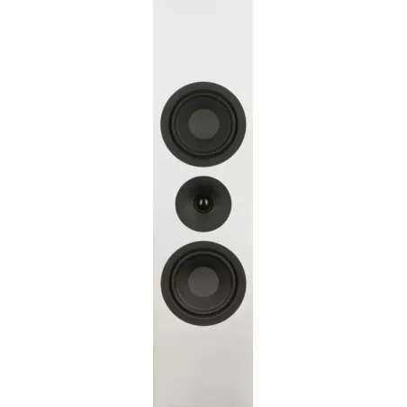 Enceinte murale System Audio SIGNATURE 10