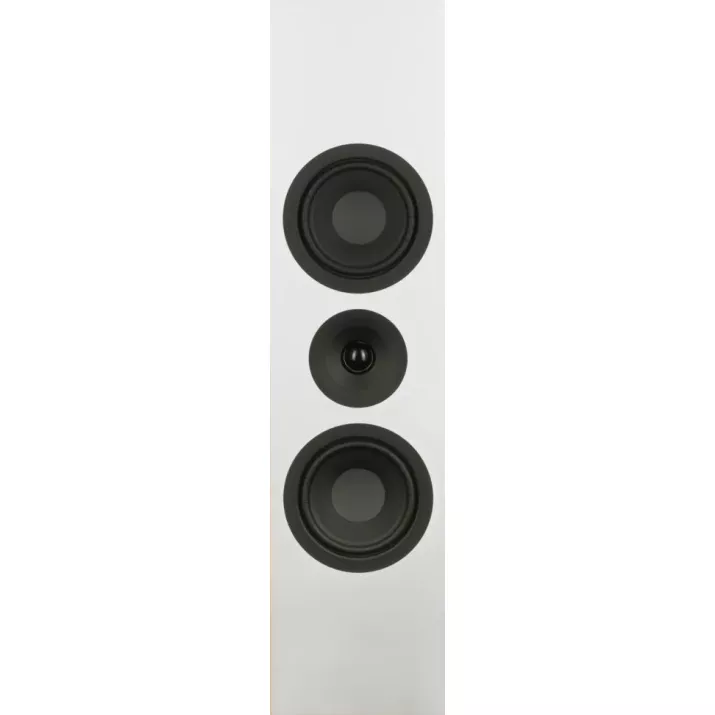 Enceinte murale System Audio SIGNATURE 10