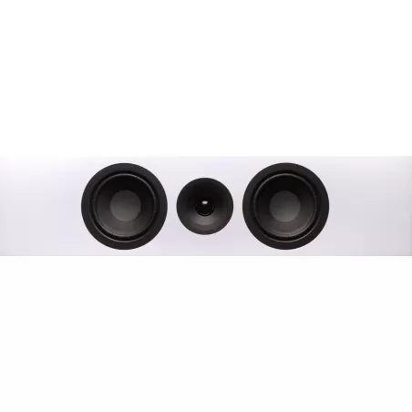 Enceinte murale System Audio SIGNATURE 10