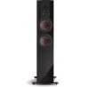 Enceinte colonne audiophile DALI RUBIKORE 6