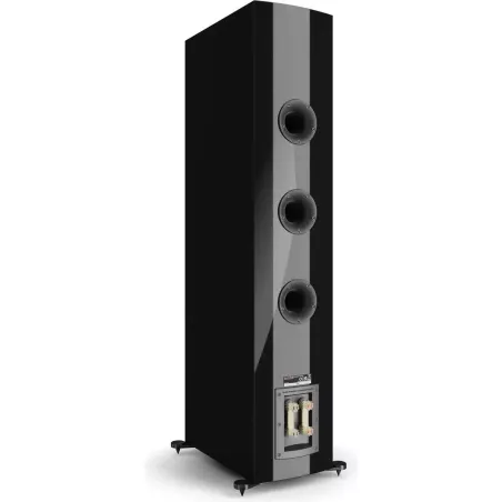 Enceinte colonne DALI RUBIKORE 6