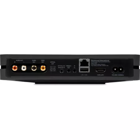Lecteur réseau AirPlay 2 Bluesound Node 2025