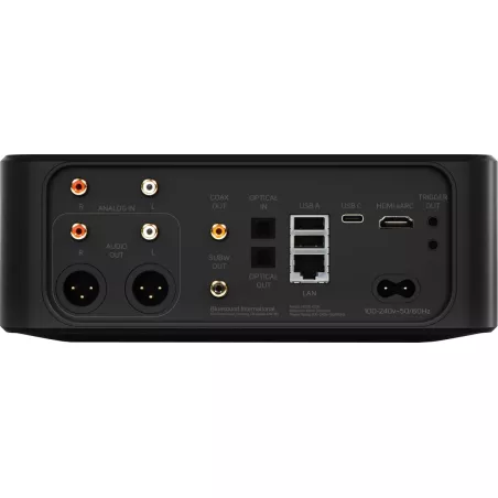 Lecteur réseau Hi-Res Bluesound Node Icon