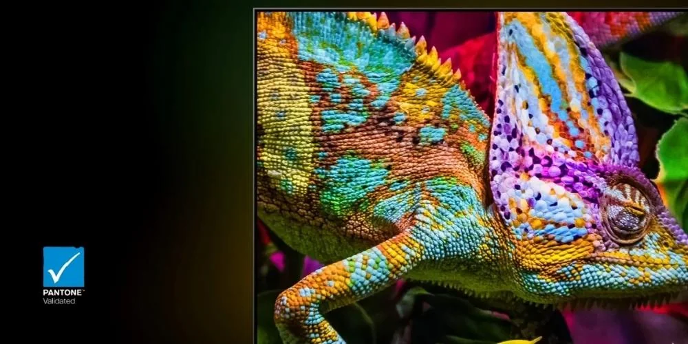 Écran Hisense affichant un caméléon aux couleurs vives, certifié Pantone Validated