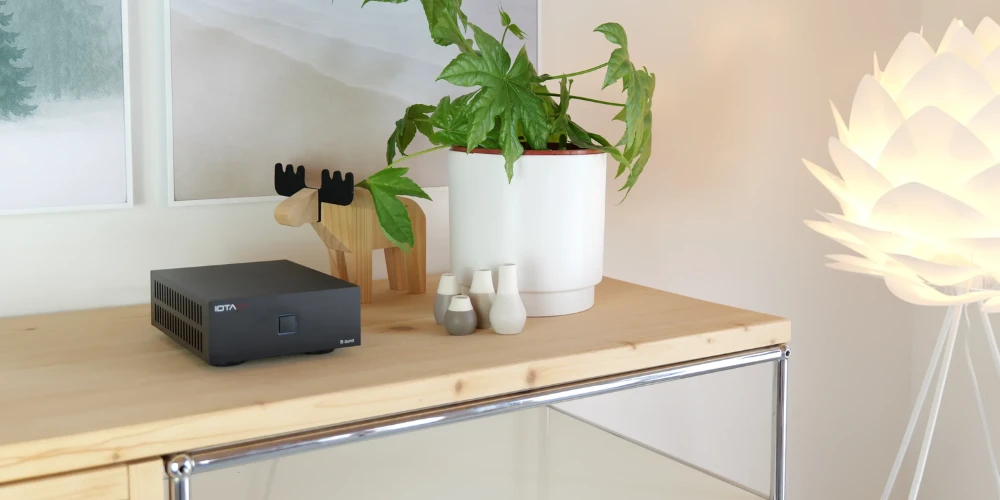 IOTAVX B:ound sur un buffet en bois clair, à côté d'une plante, de vases et d'un élan décoratif en bois
