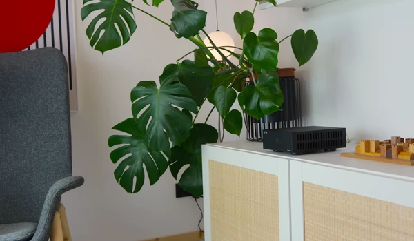Salon avec monstera et fauteuil gris, IOTAVX B:ound posé sur un meuble blanc à portes en cannage