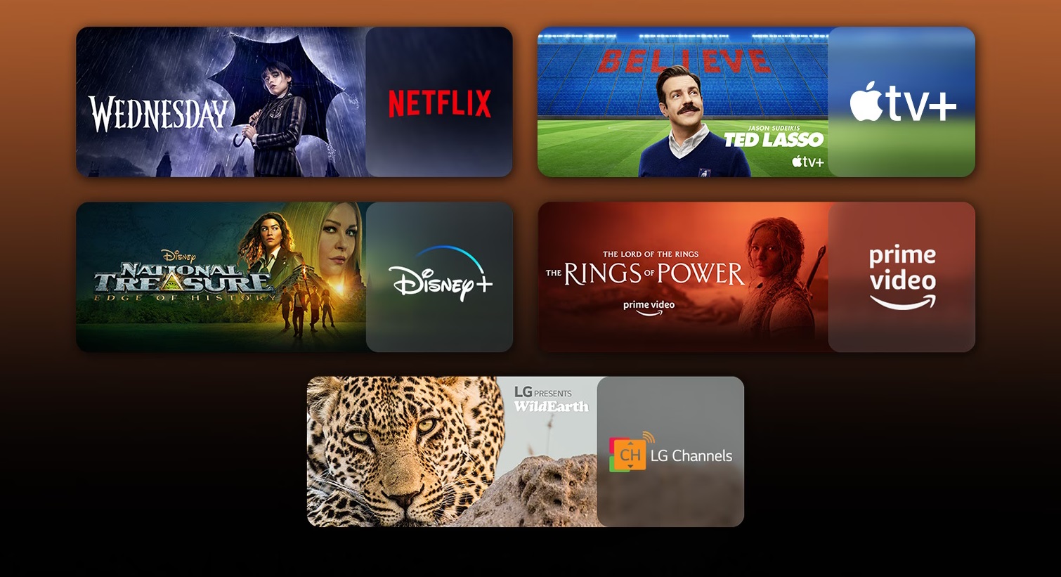 Le téléviseur LG 65UR91006 est compatible avec les grandes plateformes de streaming