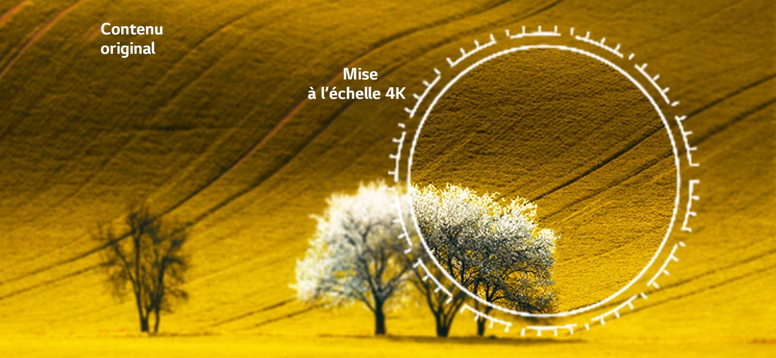 Le téléviseur 4K LG 65UR91006 upscal toutes les images en 4K